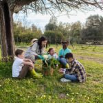 Como Plantar em Vasos